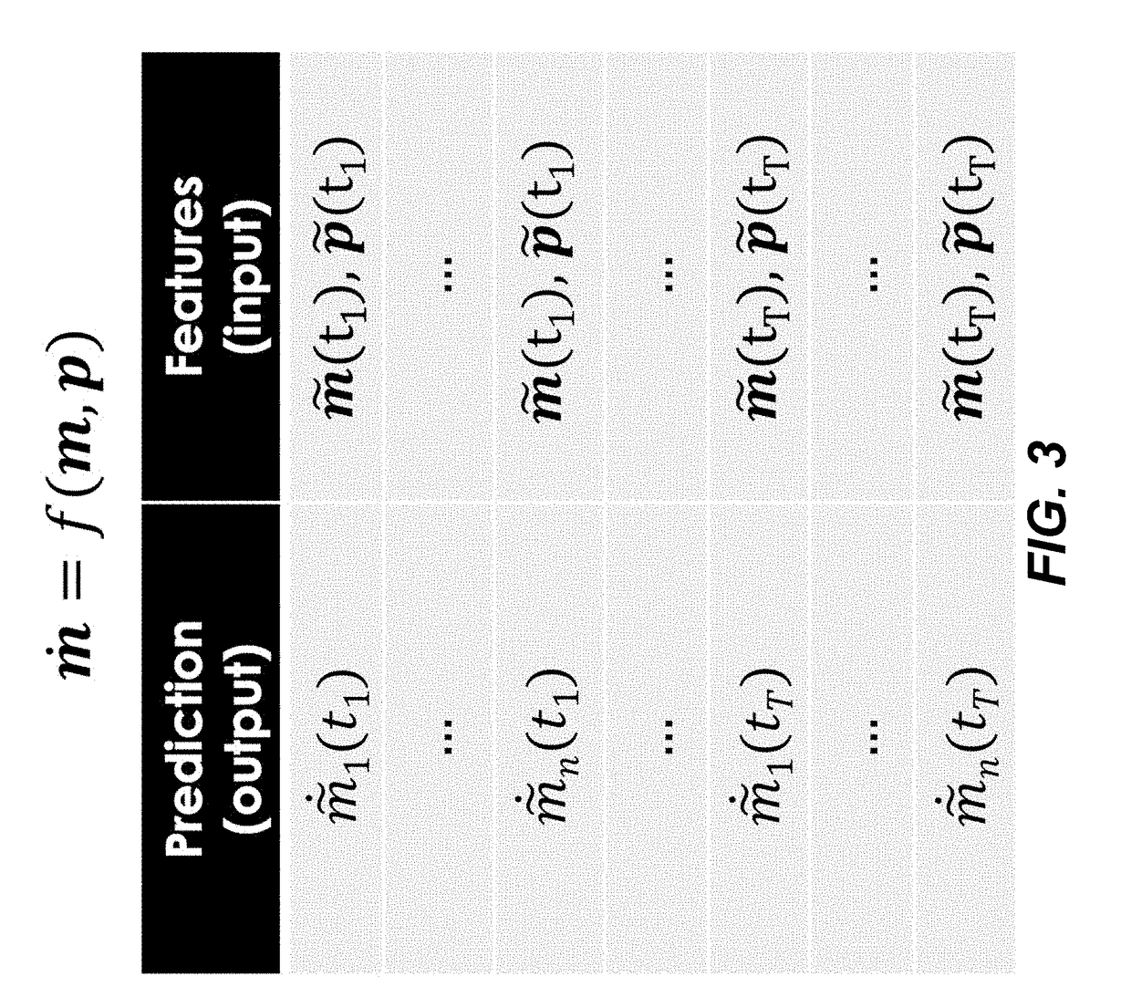 Simulating the metabolic pathway dynamics of an organism