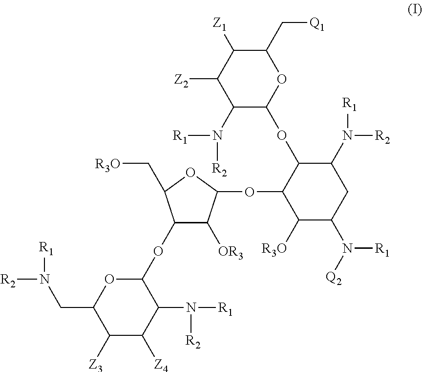 Antibacterial aminoglycoside analogs