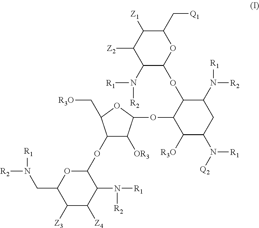 Antibacterial aminoglycoside analogs