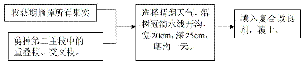 Composite modifying agent for controlling non-citrus greening disease type citrus chlorosis and application method thereof