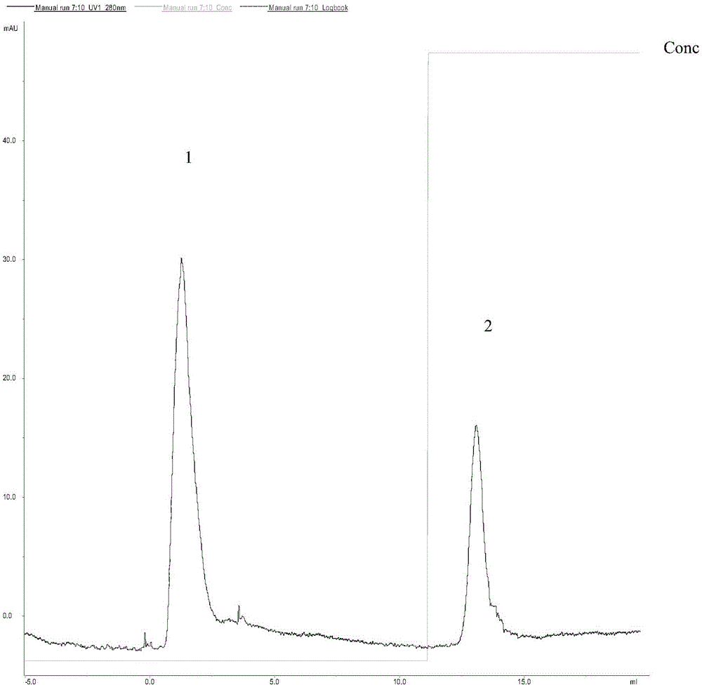 Method for separating human chorionic gonadotropin monoclonal antibody segment