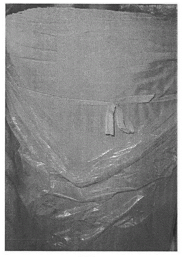 Method for weaving and processing polyester fiber elastic fabric for emplastrum