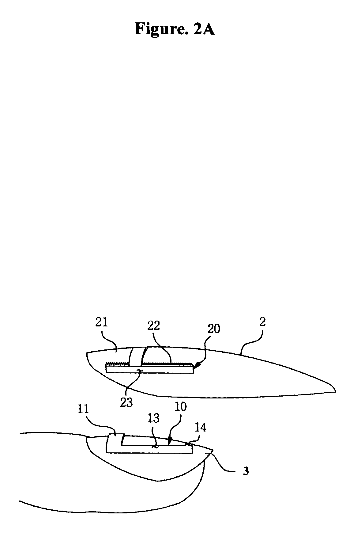 Attaching apparatus of artificial nail