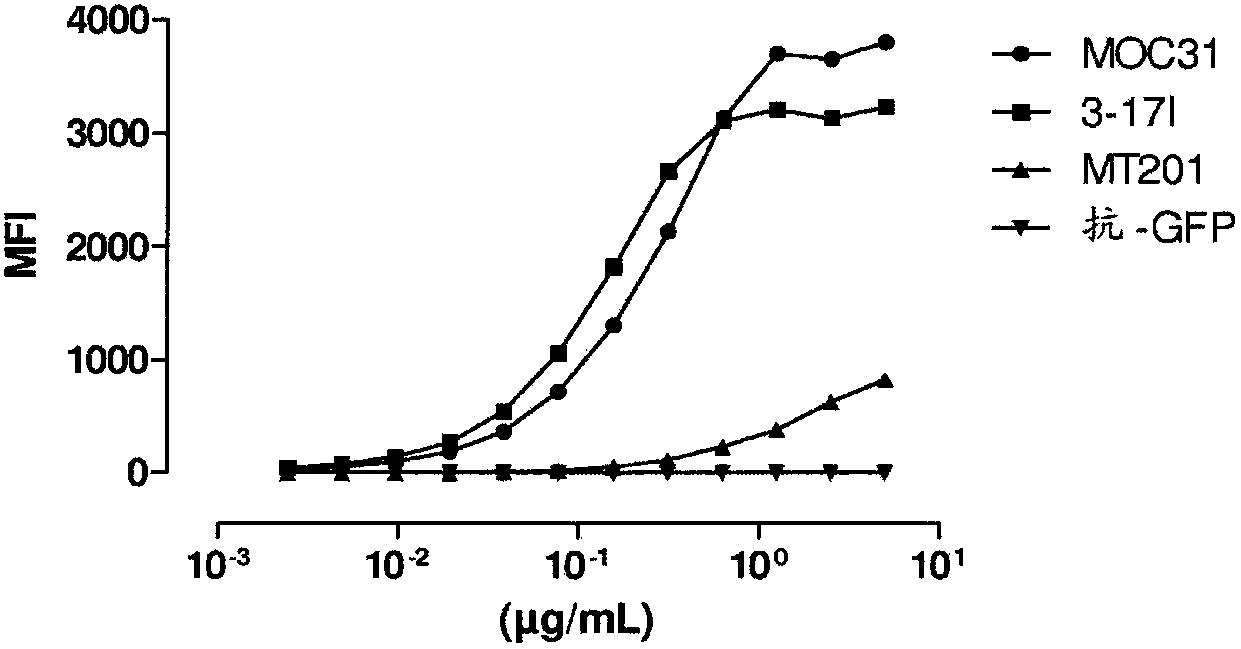 Anti-EpCAM antibodies