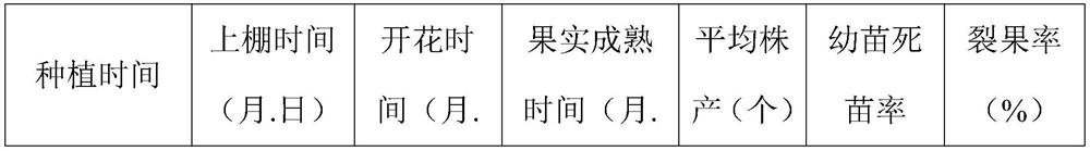 High-yield and high-efficiency transplanting method of Luo Han Guo tissue cultured seedlings