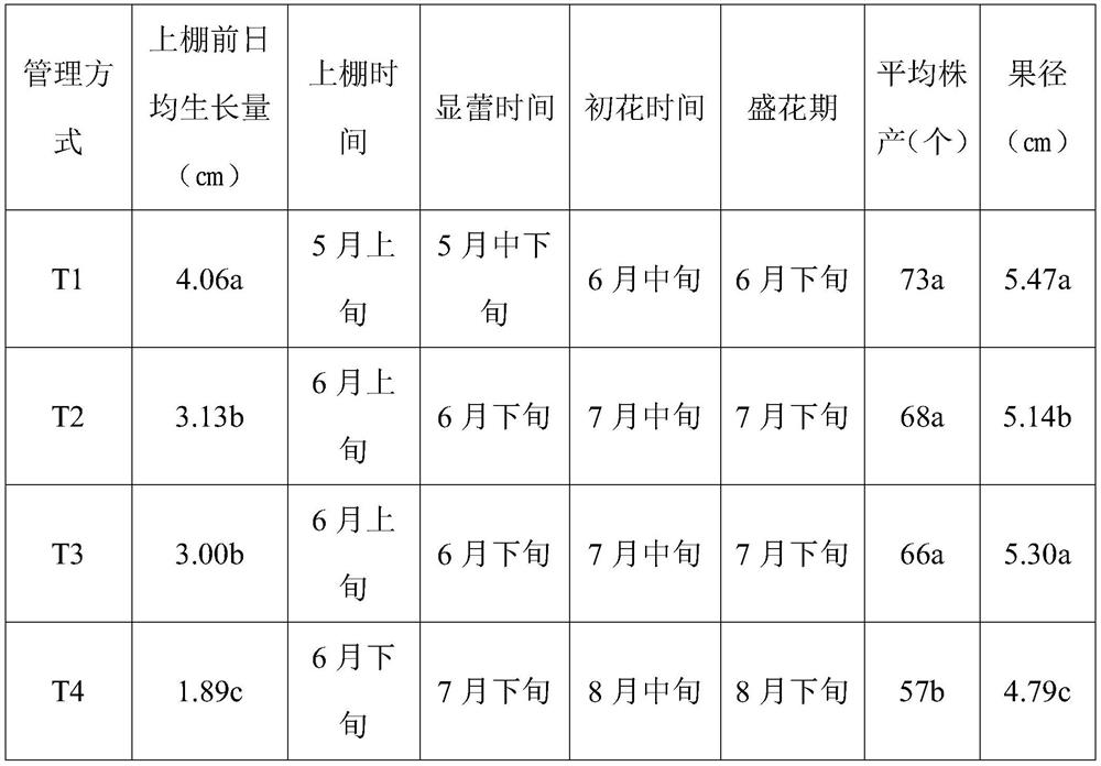 High-yield and high-efficiency transplanting method of Luo Han Guo tissue cultured seedlings