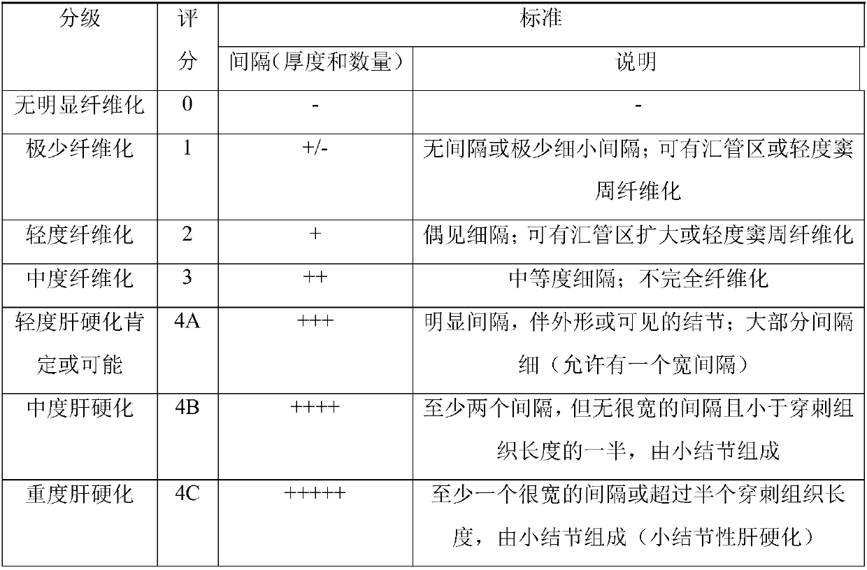 Method for establishment of macaca mulatta liver fibrosis model by intraperitoneal injection