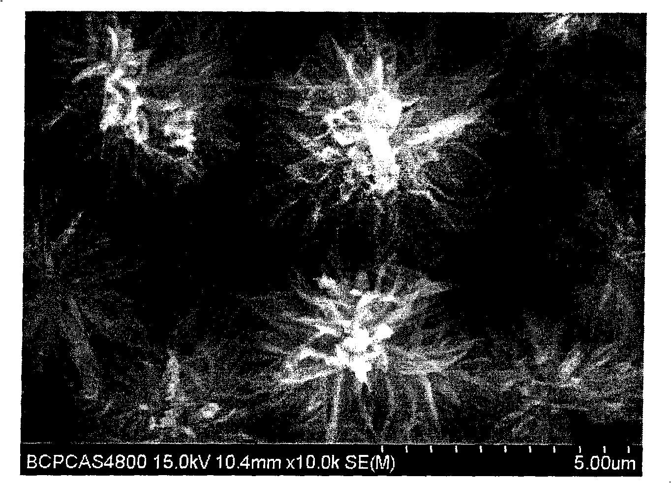 Mumm-shaped 3D TiO nanometer material and preparation method thereof