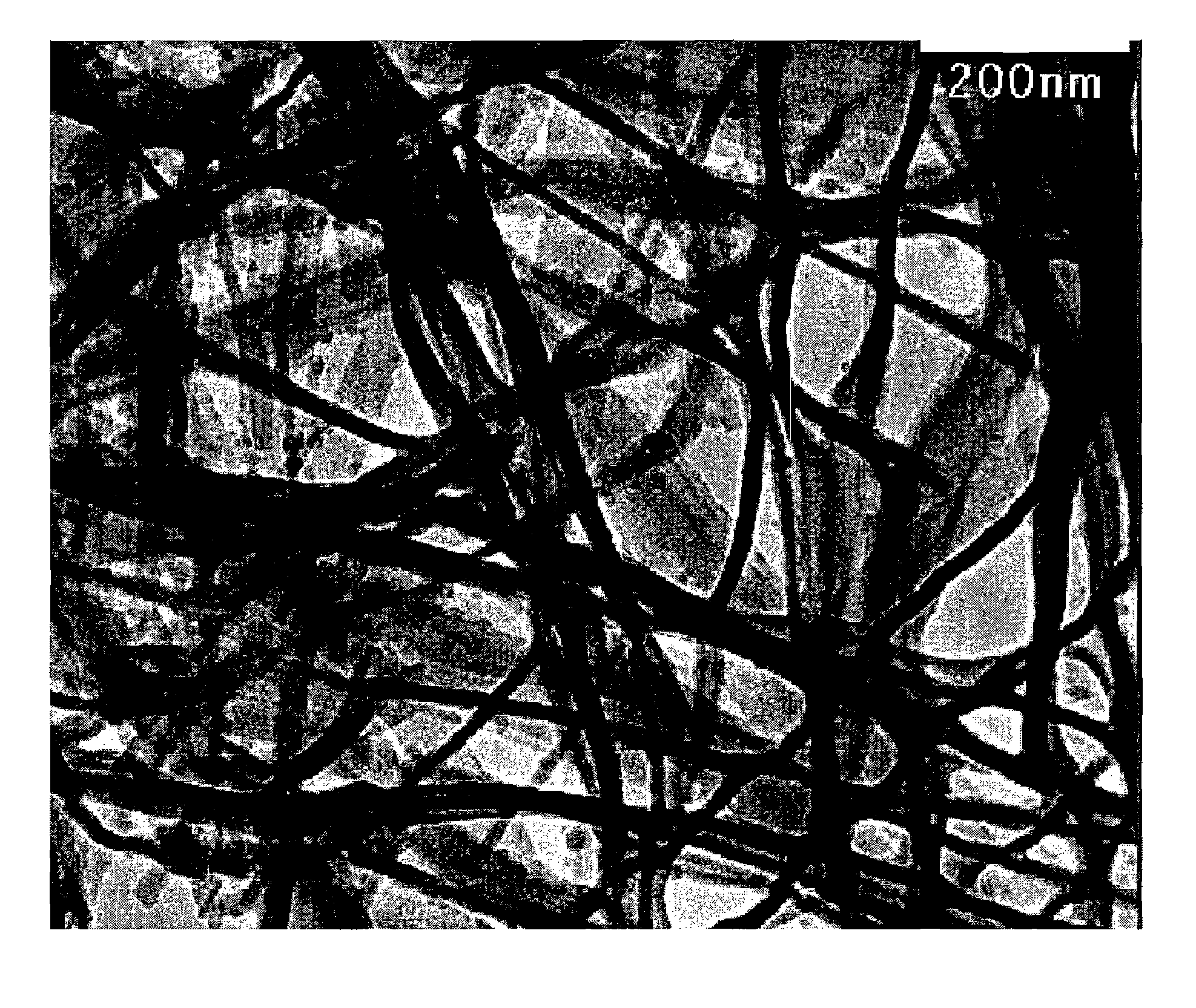 Composite nanofiber, composite nanofiber association, complex structure, and production method thereof