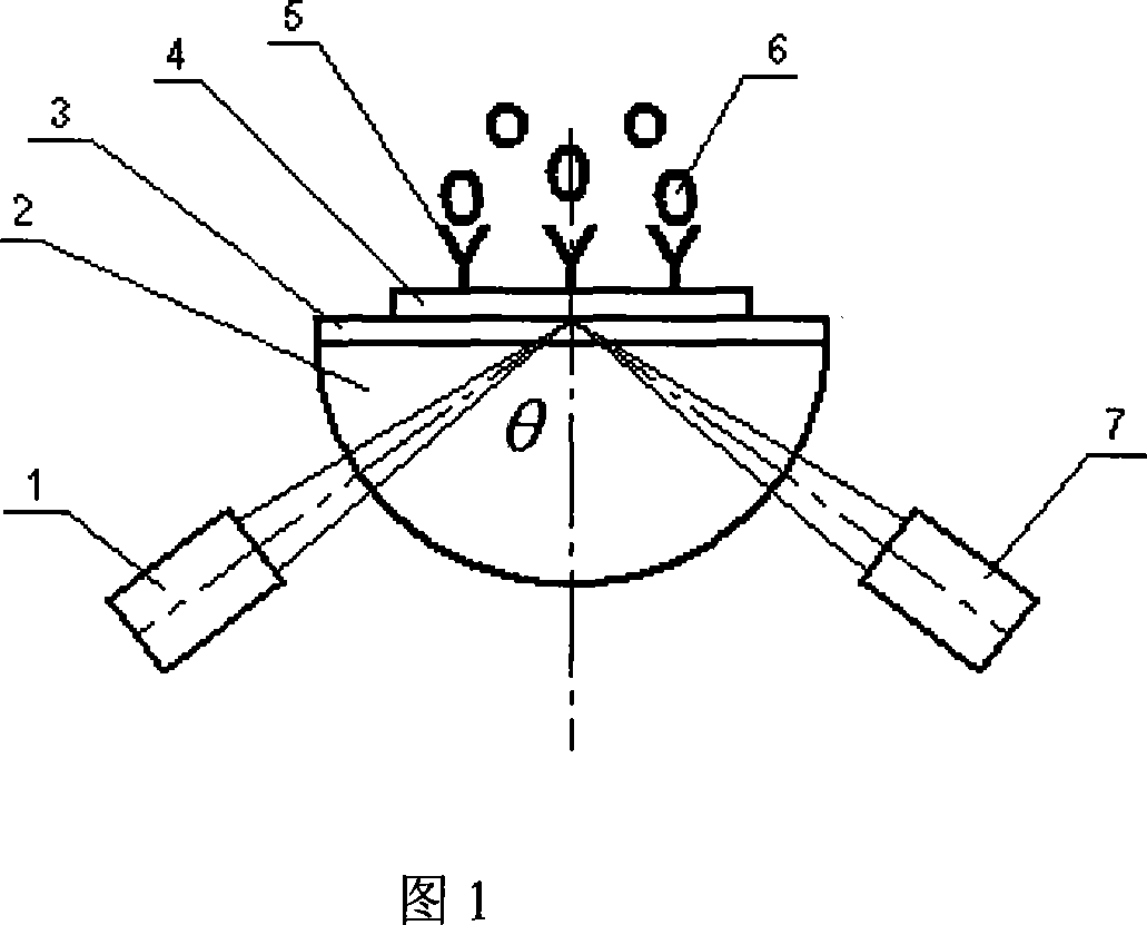 Linear light beam scanned surface plasma resonant imaging light intensity detection method and system