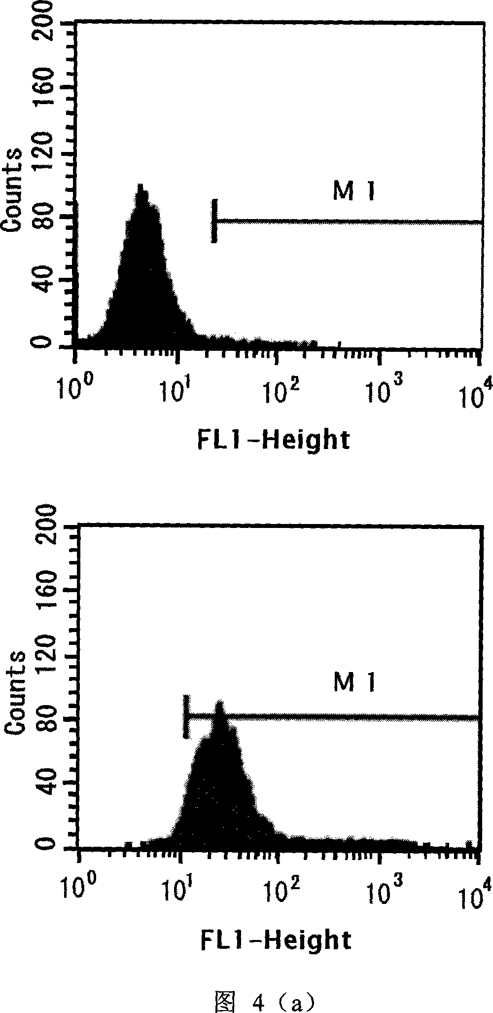 Human antibody sample molecule TEM8-Fc based on tumour endocytosis sign 8 and its application in tumour treatment