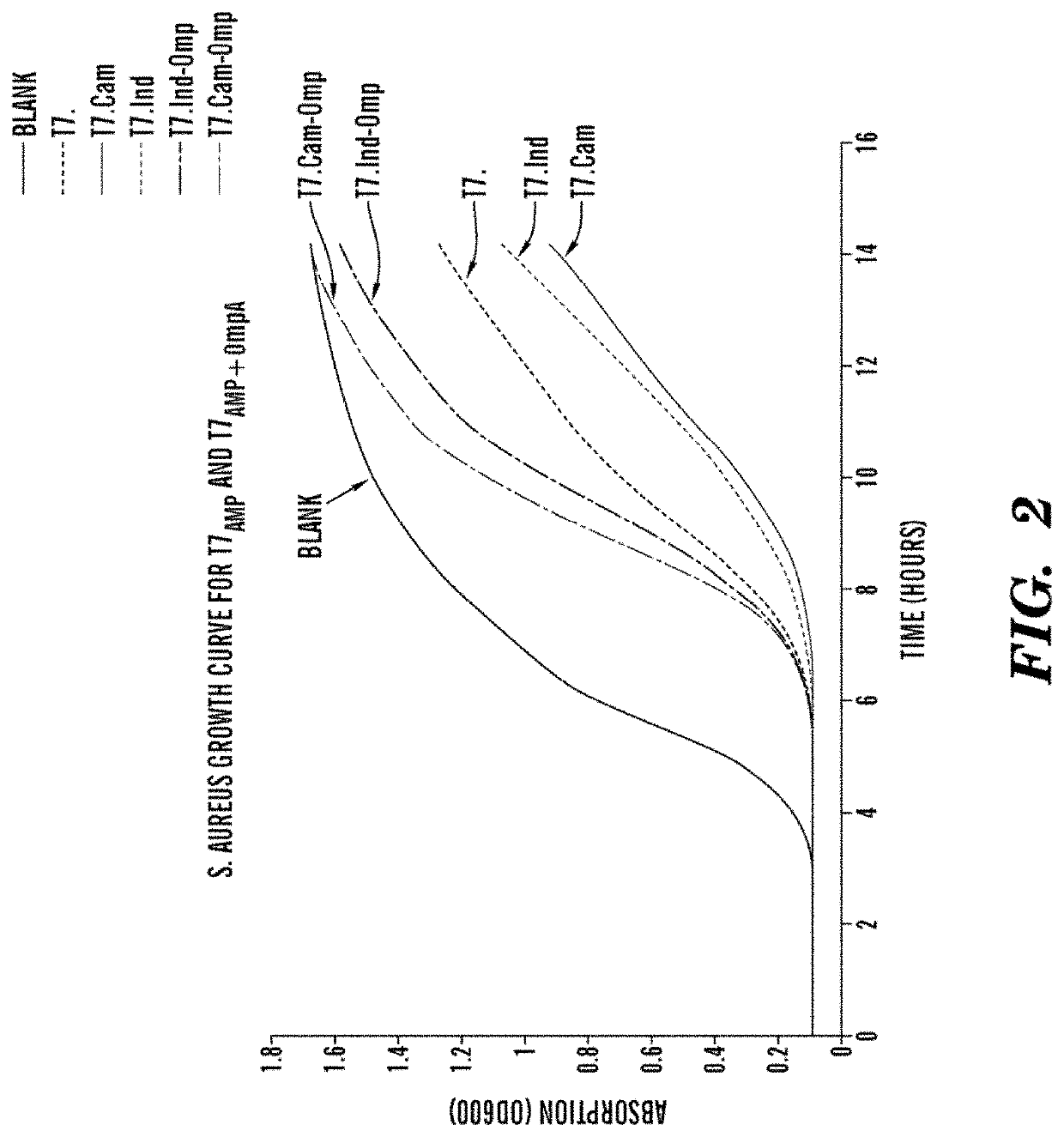 Bacteriophages expressing antimicrobial peptides and uses thereof