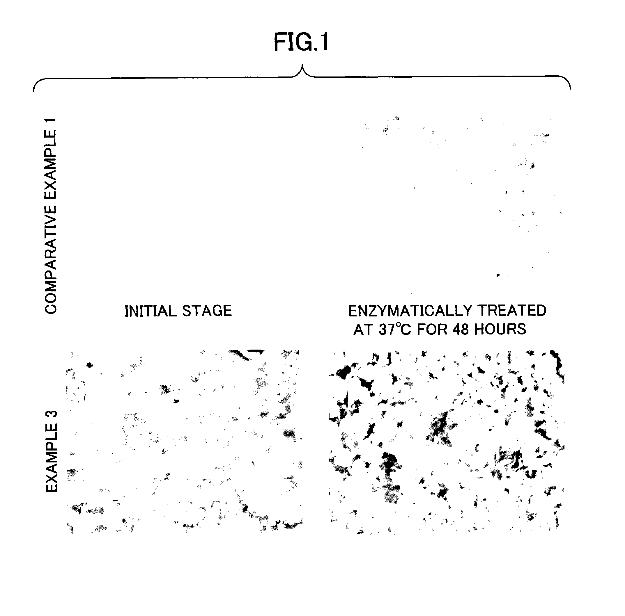 Readily degradable resin composition and biodegradable container using the same