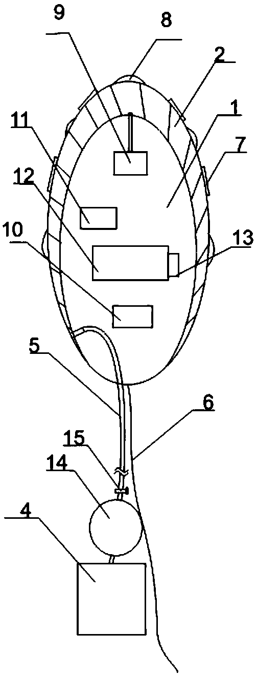 Probe with pelvic floor muscle contraction monitoring and rehabilitation training function