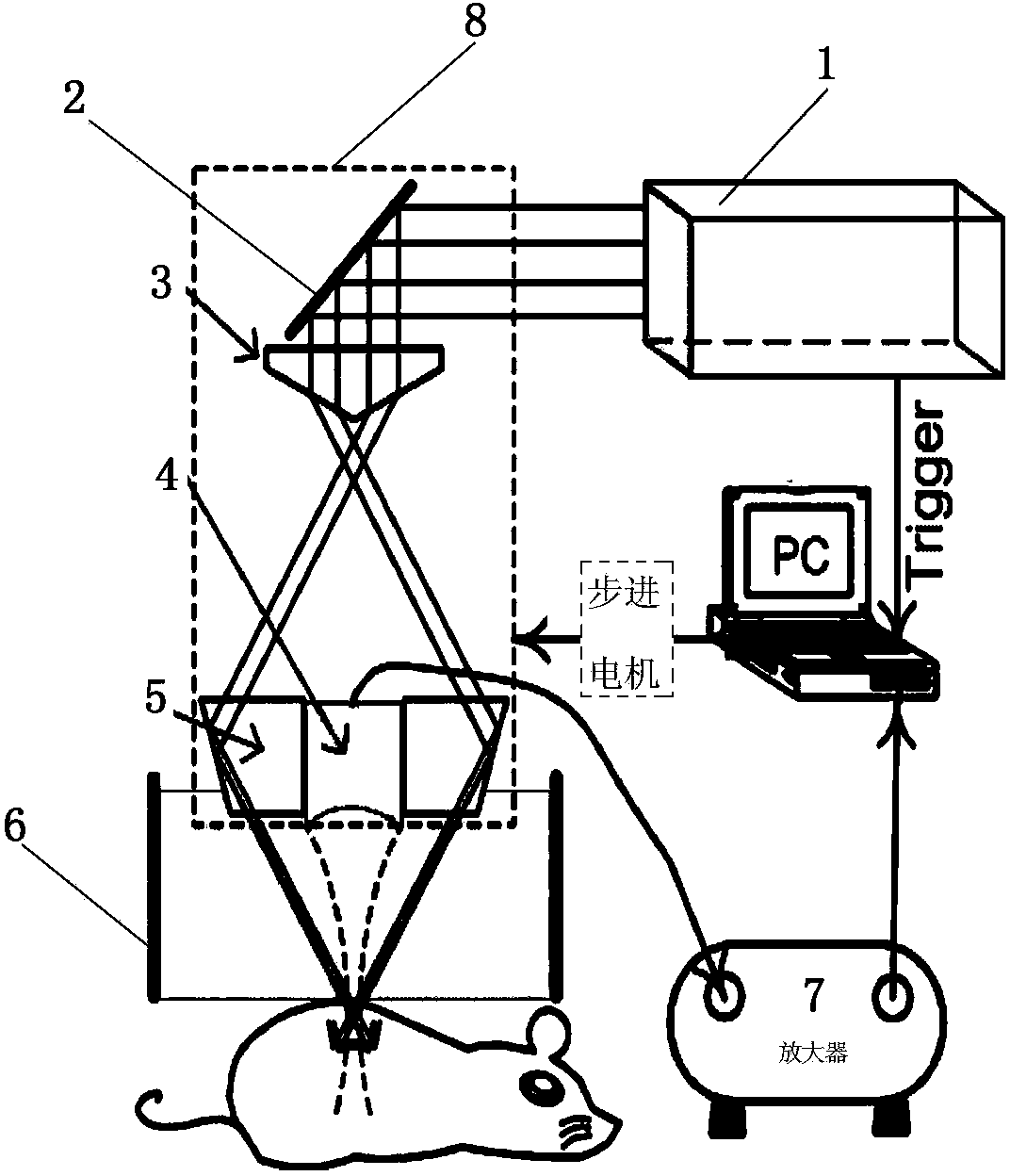 Biological tissue opto-acoustic confocal micro-imaging device and method