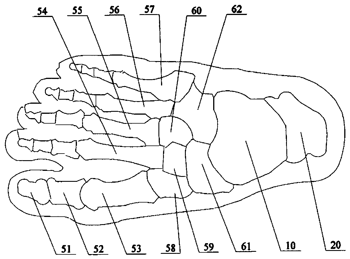 Self-adaptive vamp for fitting foot