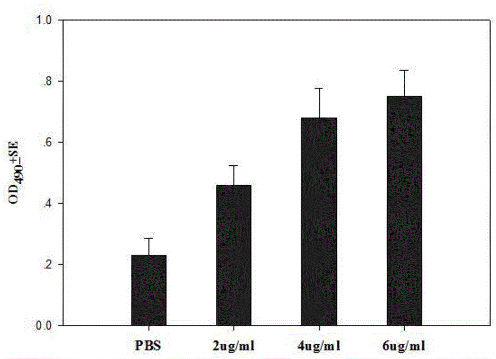 Immunoregulation peptide, and preparation method and application thereof