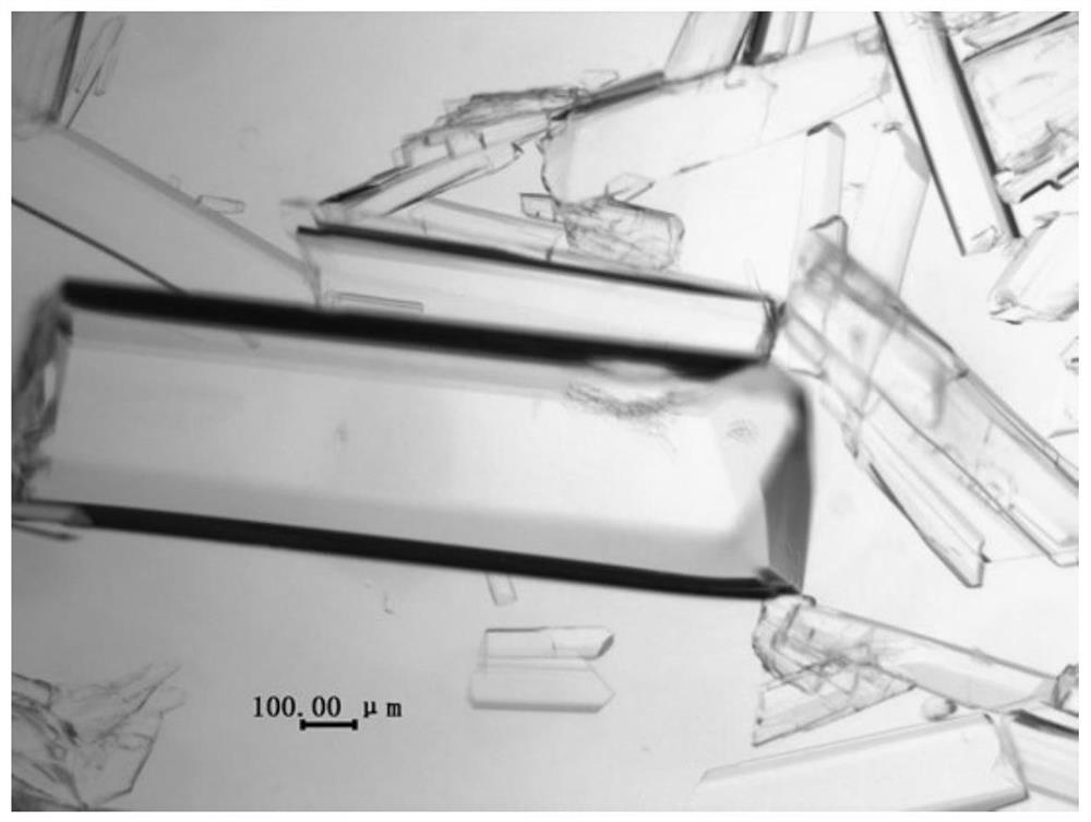 Special super-tough nylon capable of being subjected to blow molding