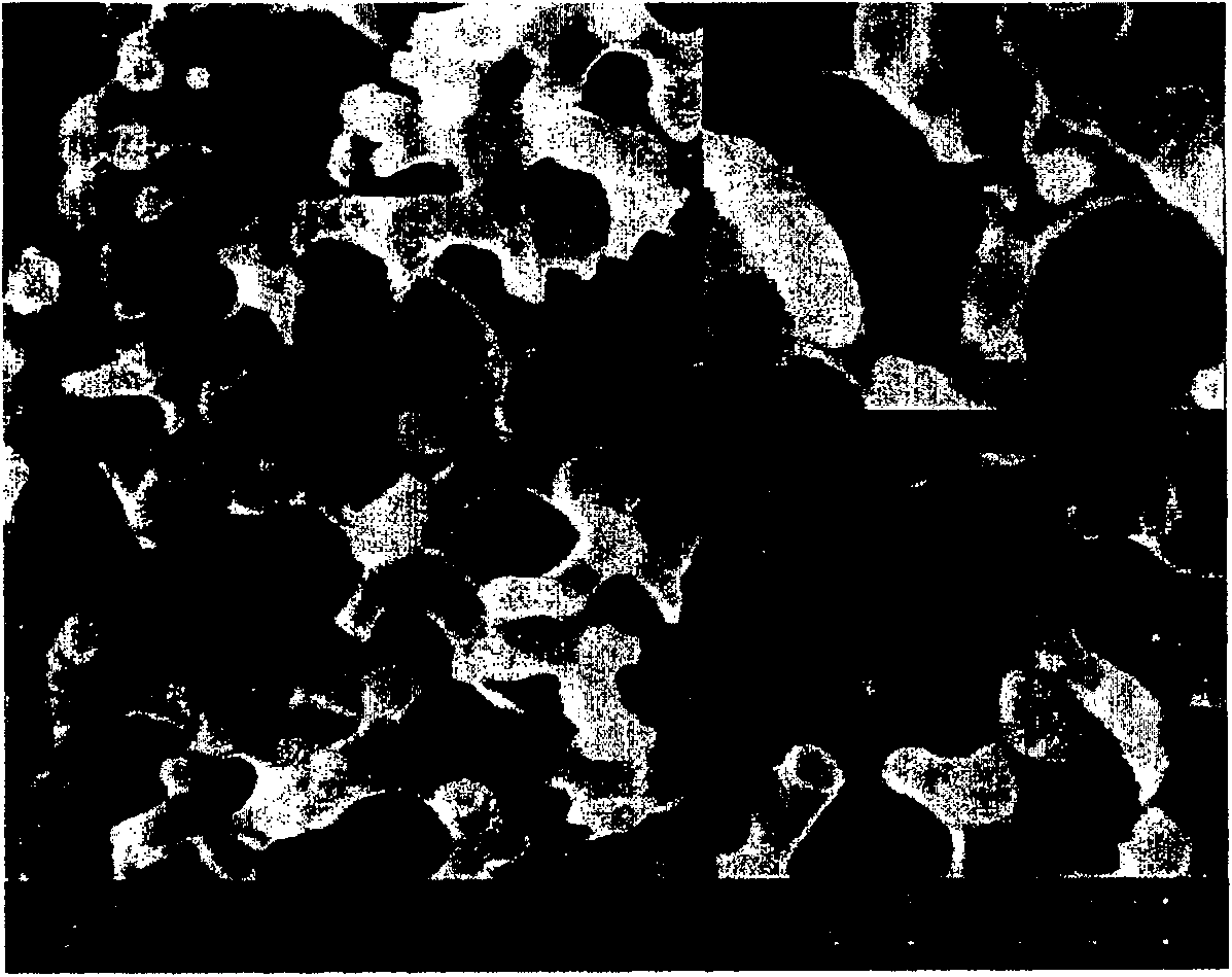 Method for preparing perforation type zeolite material with multilevel pore canals