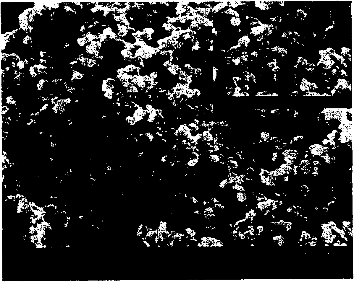 Method for preparing perforation type zeolite material with multilevel pore canals