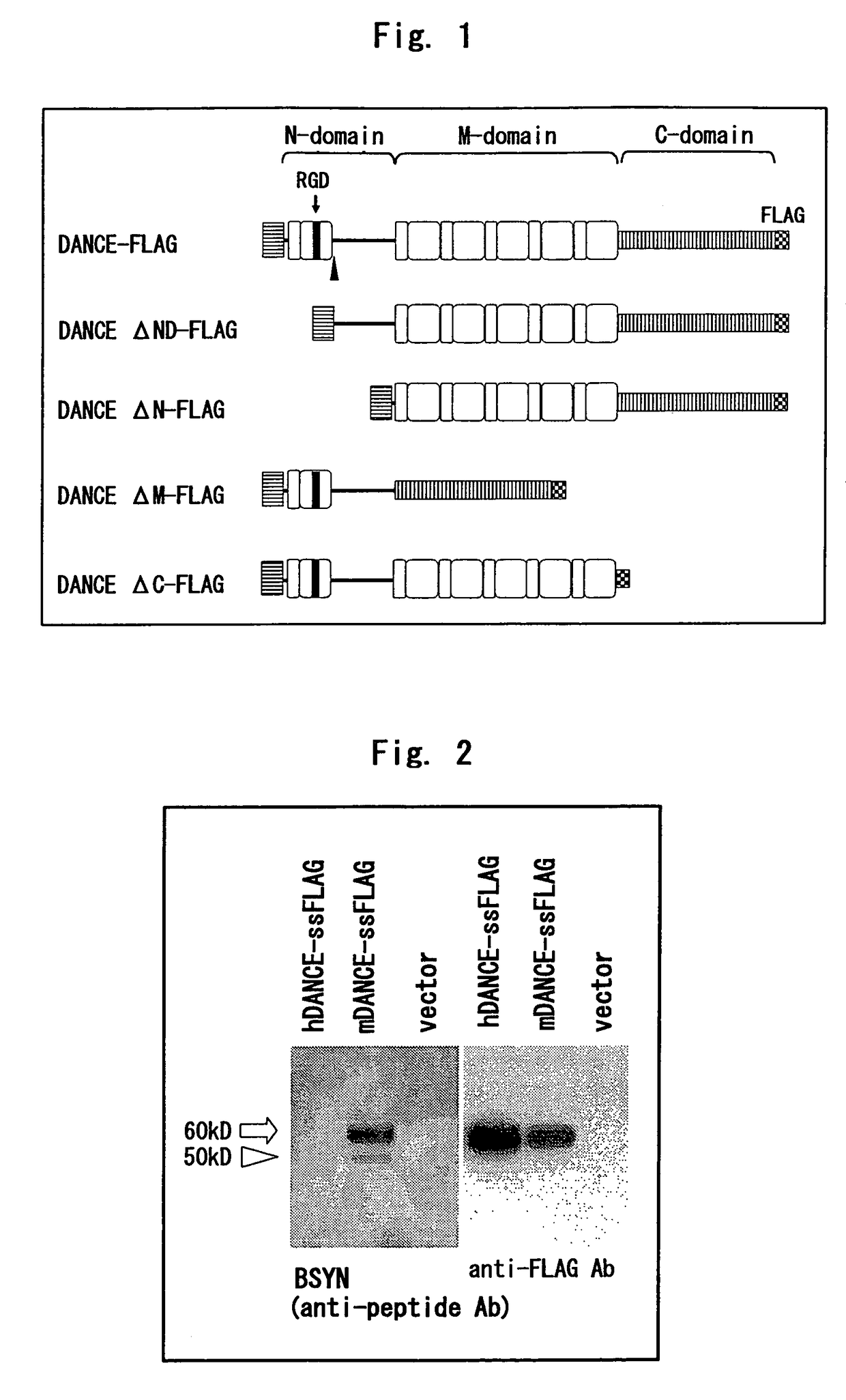 Truncated DANCE, DANCE complex and method of using these