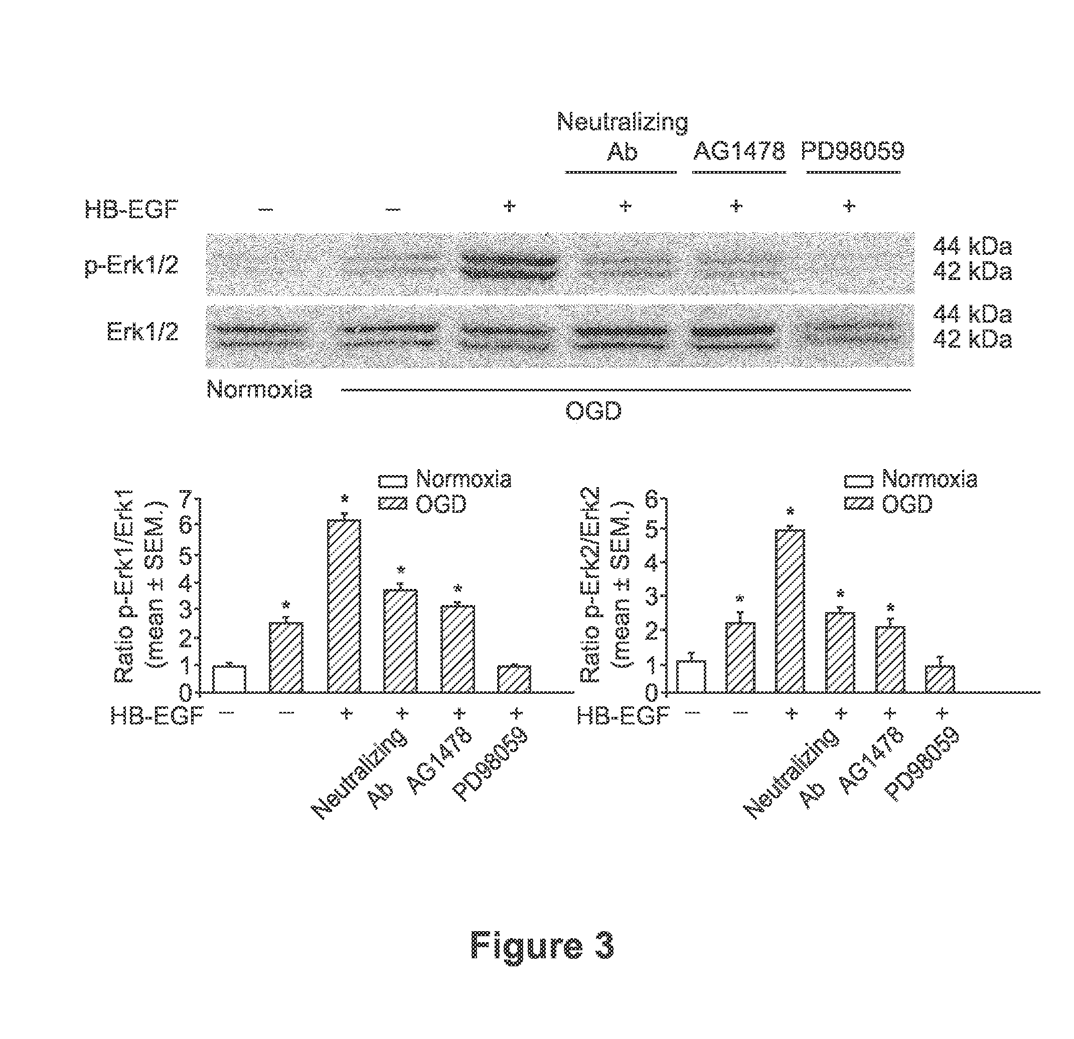 Administration Of Heparin Binding Epidermal Growth Factor For The Protection Of Enteric Neurons