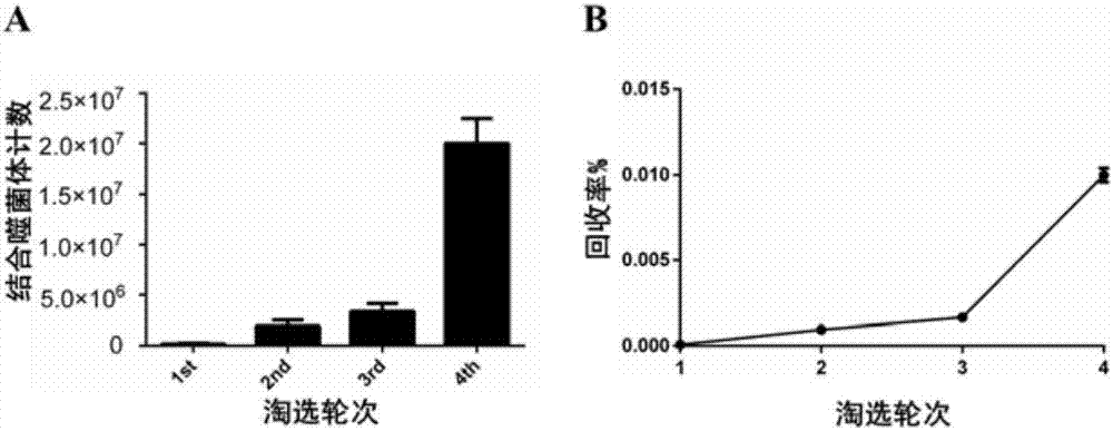 A liver cancer microsphere cell surface specific targeting polypeptide, and a preparing method and applications thereof