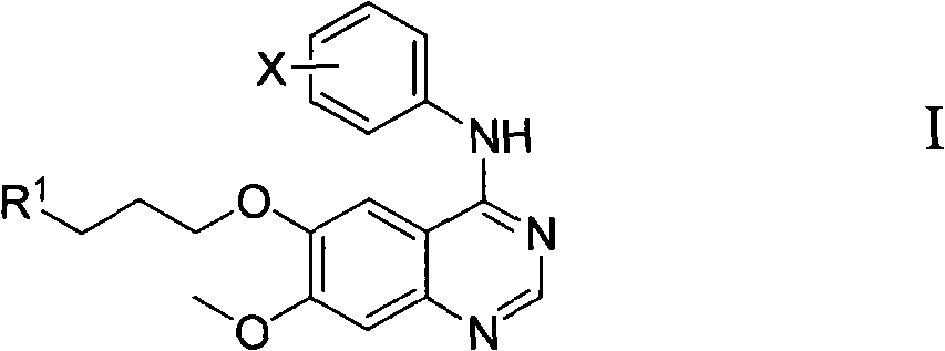 Aniline quinazoline derivatives, preparation method and uses thereof