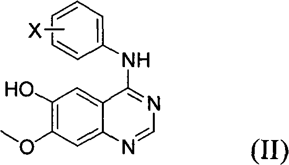 Aniline quinazoline derivatives, preparation method and uses thereof