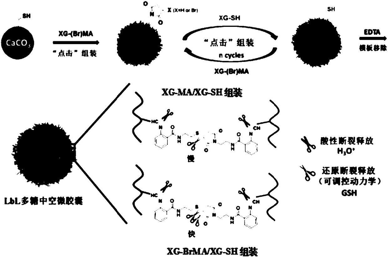 Tumor microenvironment dual-response drug controlled-release microcapsule based on natural polysaccharide and application thereof