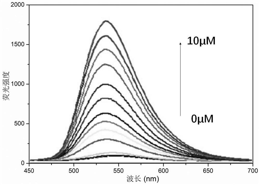 Outdoor water source heavy metal detection polymer preparation and preparation method thereof