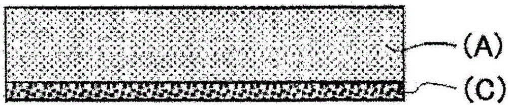 Label, method for manufacturing label, method for using label, and body with label