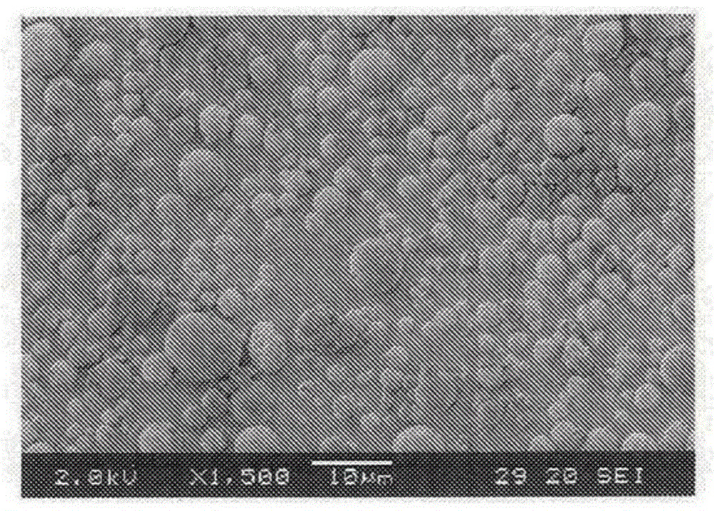 Resin powder including ultraviolet scattering agent, production method therefor, and cosmetic