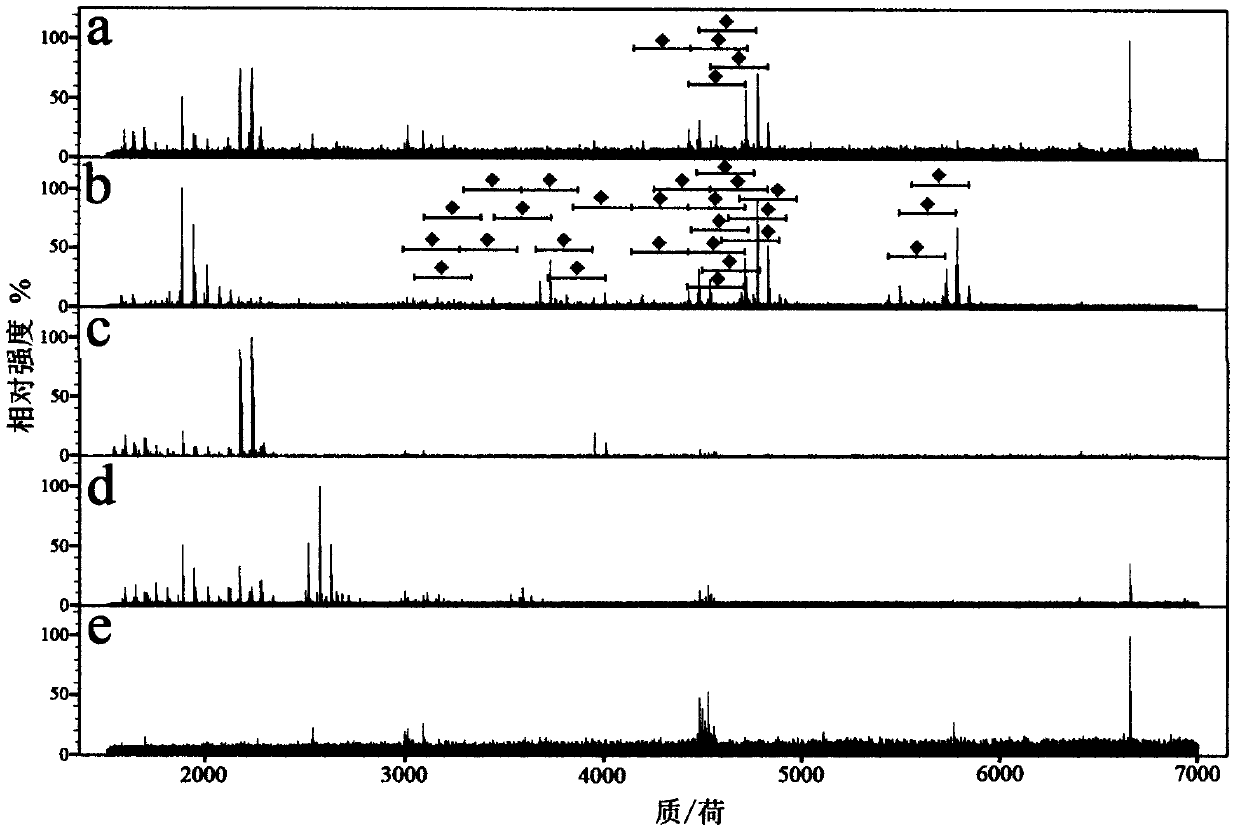 A new material for enriching and separating sialylated glycopeptides and its application