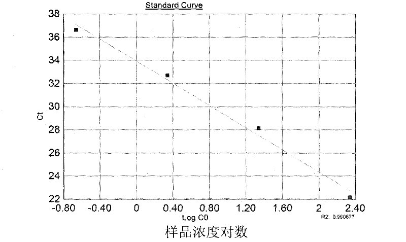 Method for amplifying and genotyping nucleic acid genes of human papilloma virus and assay kit for same