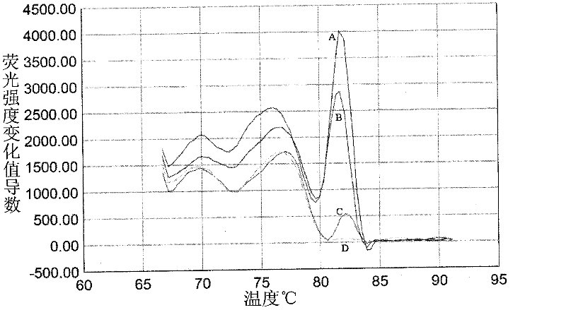 Method for amplifying and genotyping nucleic acid genes of human papilloma virus and assay kit for same