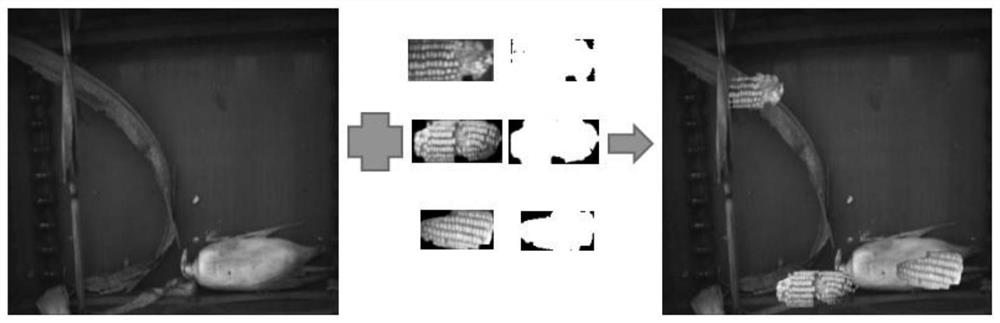 A method for detecting corn ear damage