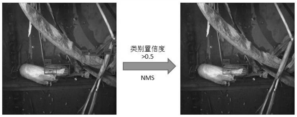 A method for detecting corn ear damage