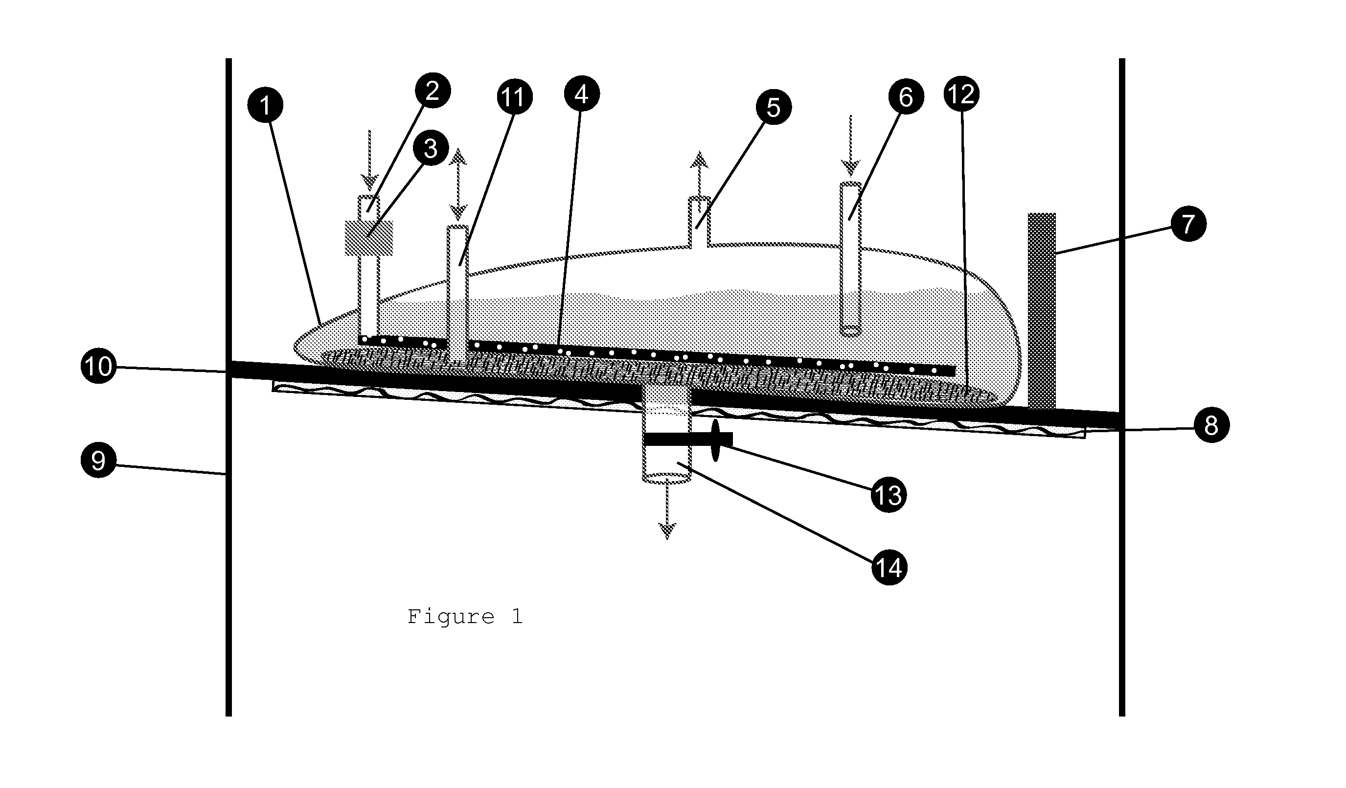 Separative Bioreactor