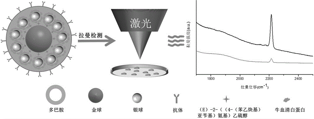 Gold-as-core silver-as-shell ''Raman silent zone'' substrate and preparation method and application thereof