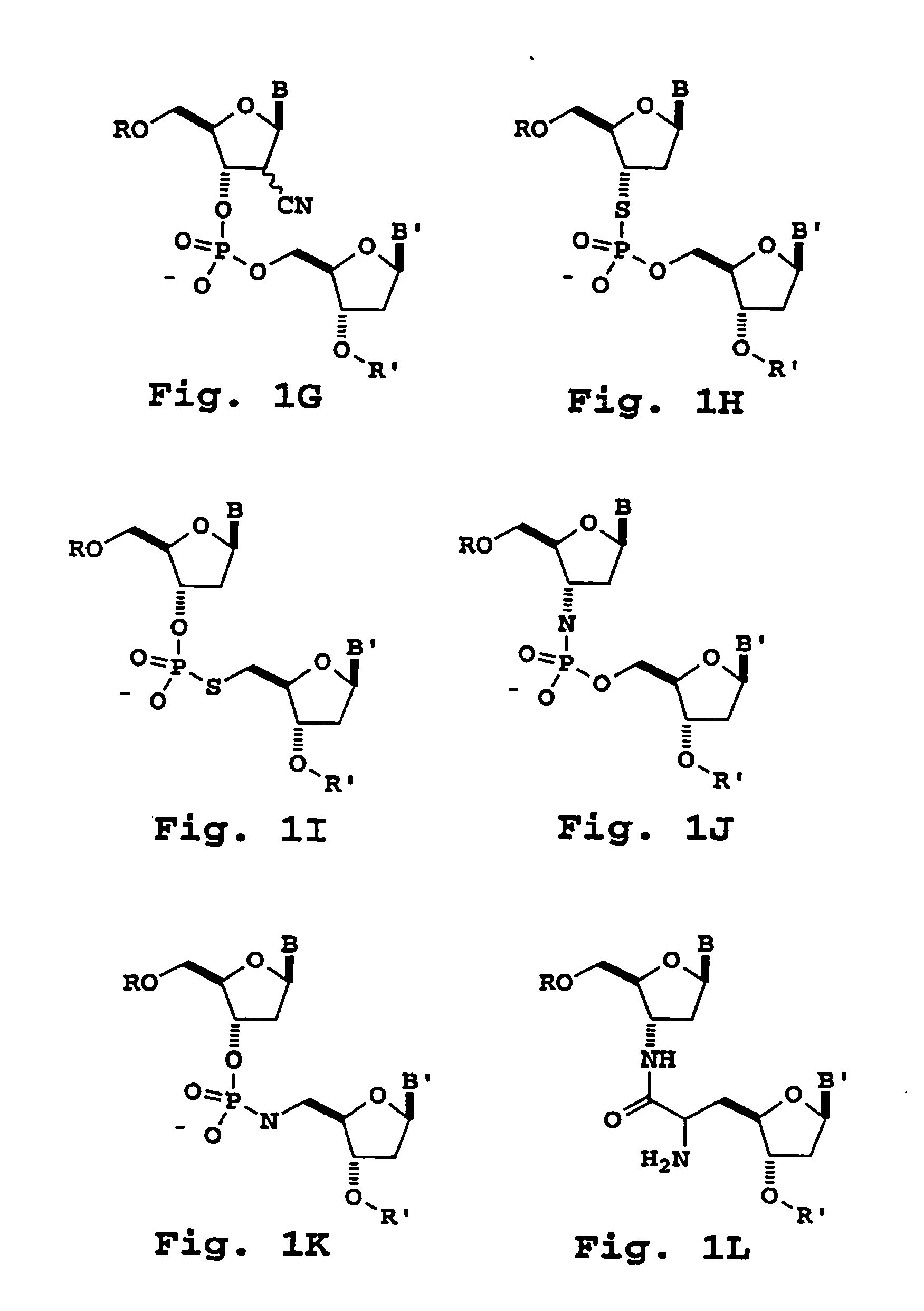 Oligonucleotide sizing using cleavable primers