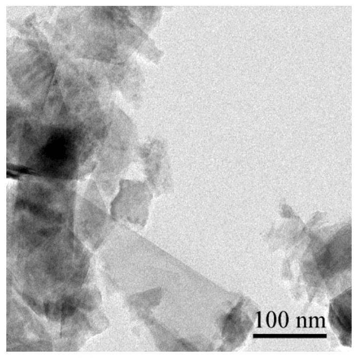 Method and application of constructing type III collagen photoelectrochemical sensor based on rhenium disulfide nanosheets