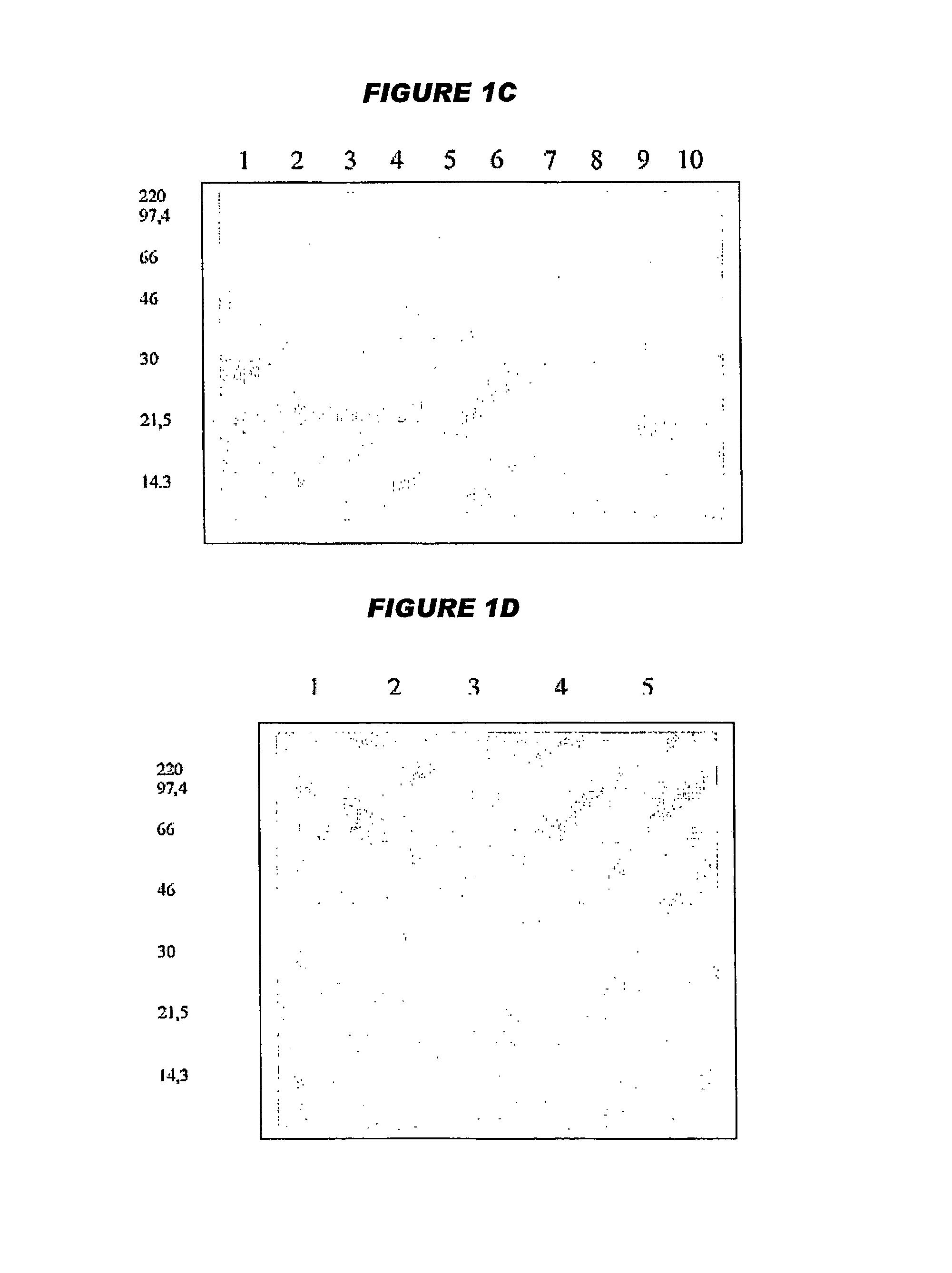 Combination vaccines with whole cell pertussis antigen