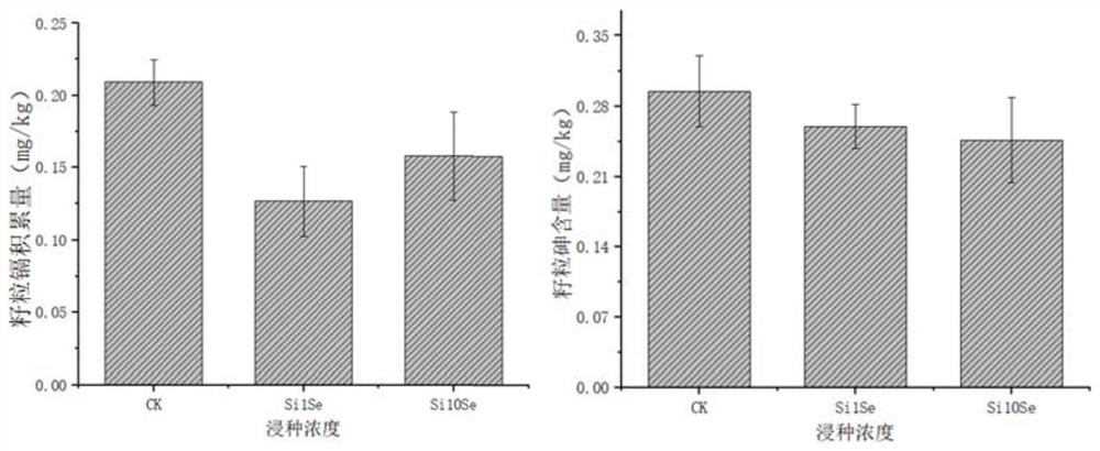 Seed soaking agent and seed soaking method for reducing cadmium and arsenic content in rice grains