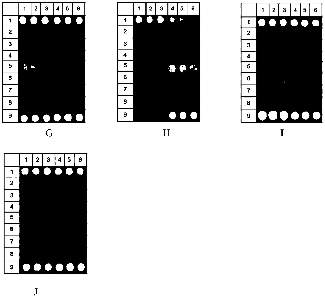 A gene chip kit for detecting drug-resistant genes of Gram-negative bacteria