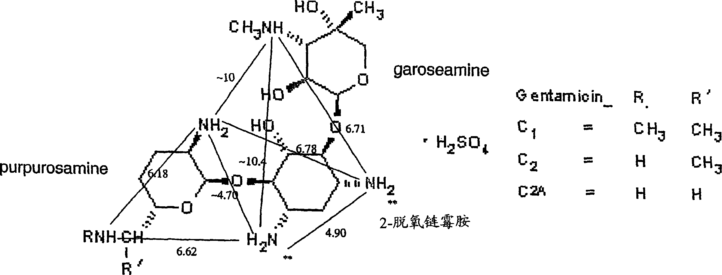 Use of compounds for the prevention of drug-induced cell toxicity