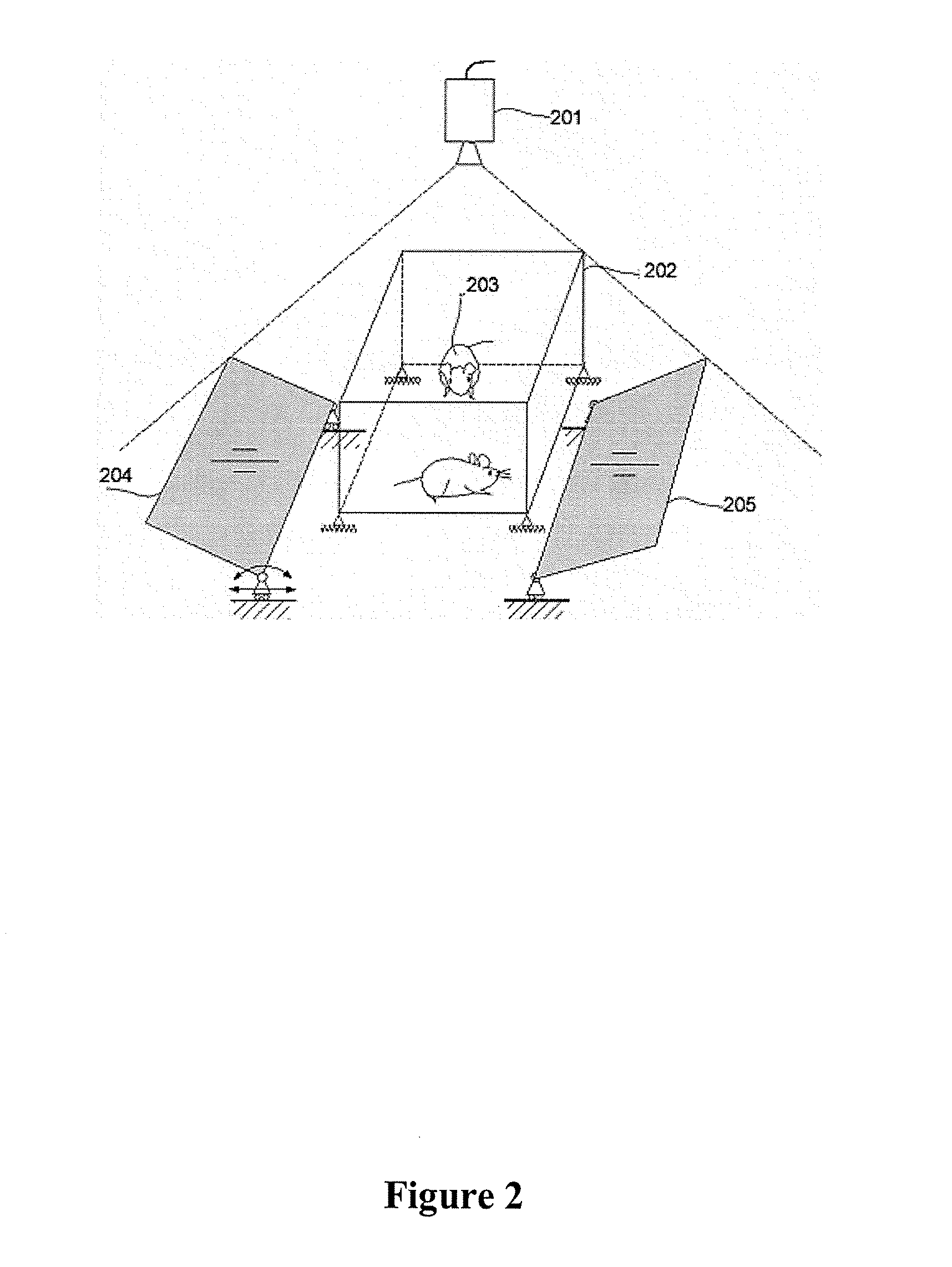 System For 3D Monitoring And Analysis Of Motion Behavior Of Targets