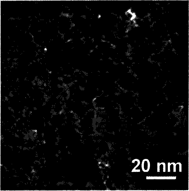 Method for preparing nano-structure of magnesium