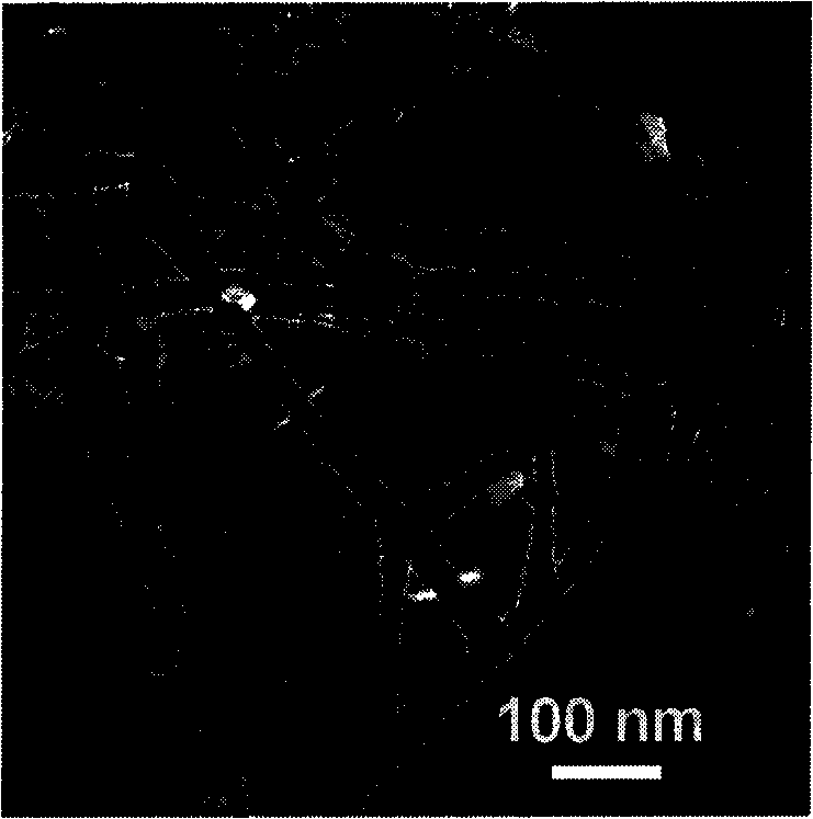 Method for preparing nano-structure of magnesium