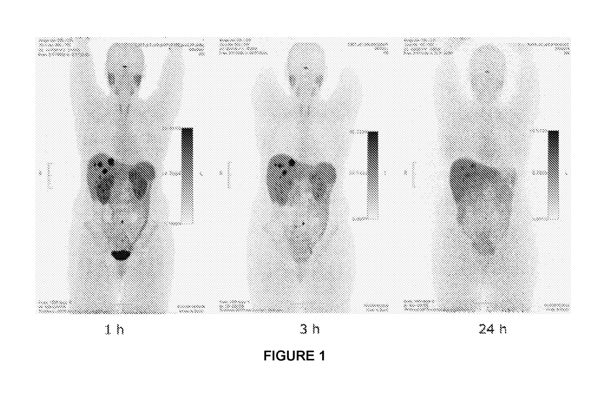 Pet tracer for imaging of neuroendocrine tumors